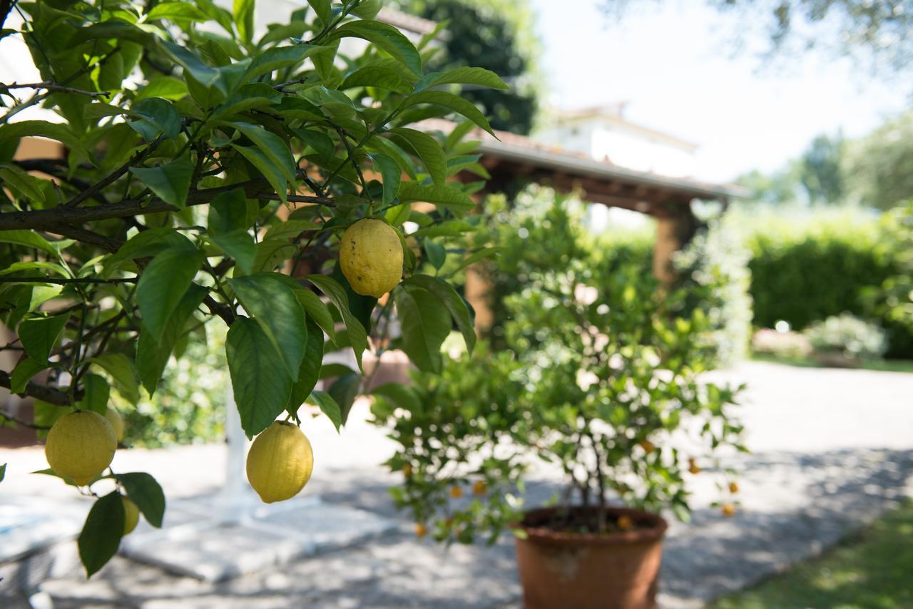 Le Tre Querce B&B Romano D'Ezzelino Exterior foto