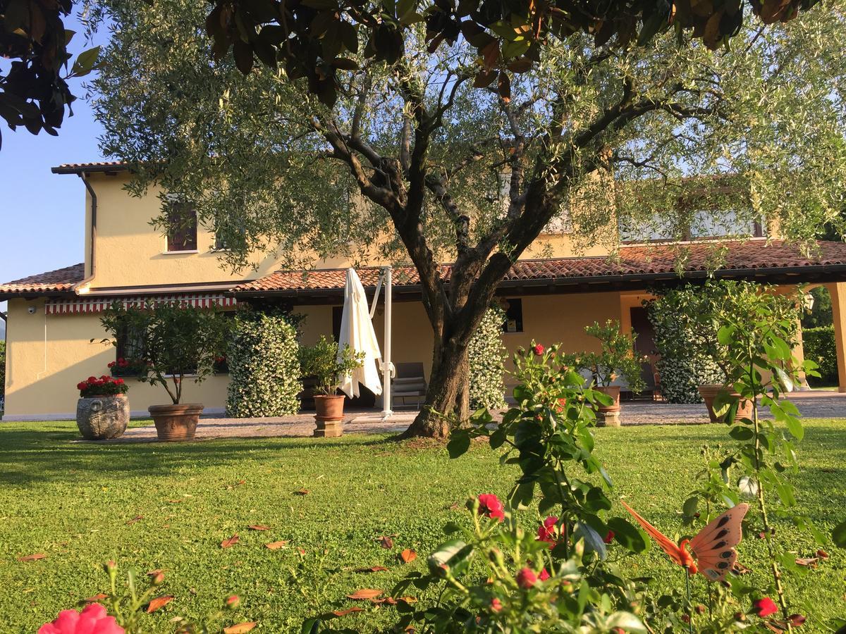 Le Tre Querce B&B Romano D'Ezzelino Exterior foto
